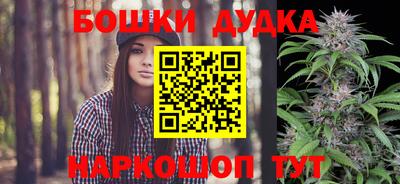 сатива Волжский