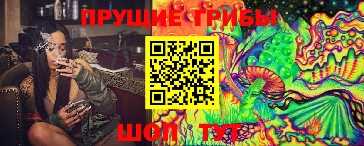 Галлюциногенные грибы Psilocybine cubensis Вышний Волочёк