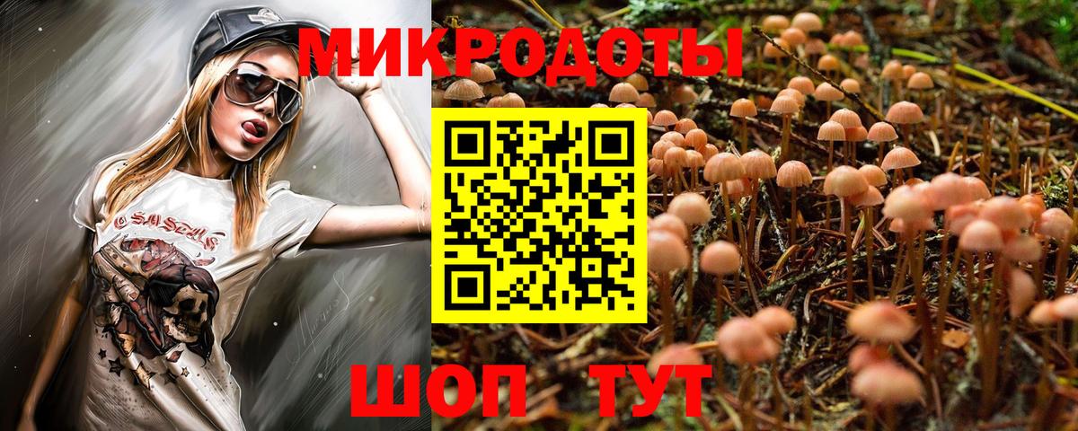 Псилоцибиновые грибы Cubensis Вышний Волочёк