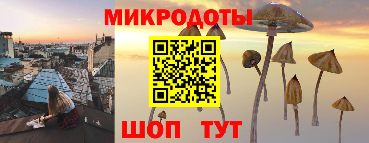 Псилоцибиновые грибы Magic Shrooms  как найти закладки  Вышний Волочёк  Вход с VPN 